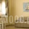 Nautilus Apartments_accommodation_in_Apartment_Central Greece_Fokida_Galaxidi