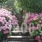 Glorious Peleys Castle Hotel_holidays_in_Hotel_Thessaly_Magnesia_Vizitsa