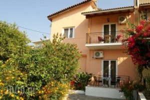 Zotos Rooms_accommodation_in_Room_Epirus_Preveza_Parga