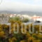 Captain's Beach Apartments_lowest prices_in_Apartment_Aegean Islands_Thasos_Thasos Rest Areas