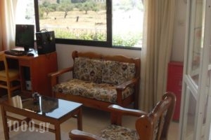 Vera Studios_best prices_in_Hotel_Dodekanessos Islands_Rhodes_Kallithea