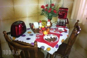 Chris Studios & Apartments_best prices_in_Apartment_Peloponesse_Korinthia_Lechaio