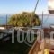 Chris Studios & Apartments_holidays_in_Apartment_Peloponesse_Korinthia_Lechaio