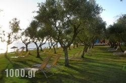 Eleon Grand Resort & Spa in Zakinthos Rest Areas, Zakinthos, Ionian Islands