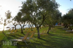 Eleon Grand Resort & Spa_accommodation_in_Hotel_Ionian Islands_Zakinthos_Zakinthos Rest Areas