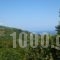 Araliides_lowest prices_in_Hotel_Thessaly_Magnesia_Mouresi