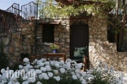 Traditional Houses in Athens, Attica, Central Greece