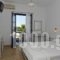 Arokaria Dreams_best deals_Apartment_Cyclades Islands_Paros_Piso Livadi