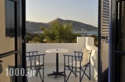 Arokaria Dreams in Piso Livadi, Paros, Cyclades Islands