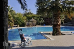 Arokaria Dreams_holidays_in_Apartment_Cyclades Islands_Paros_Piso Livadi