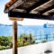 Tomato Hotel_accommodation_in_Hotel_Sporades Islands_Skiathos_Skiathos Chora