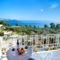 Irida Aegean View_holidays_in_Apartment_Sporades Islands_Skiathos_Skiathos Chora