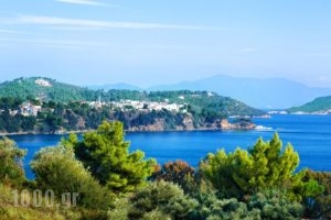 Irida Aegean View_best deals_Apartment_Sporades Islands_Skiathos_Skiathos Chora