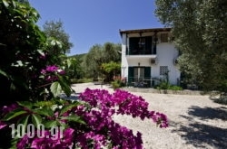 Katerina Pension in Athens, Attica, Central Greece