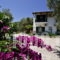 Katerina Pension_accommodation_in_Room_Sporades Islands_Skopelos_Panormos