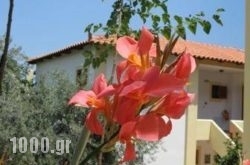 Hotel Heleni Apartments in Agistri Chora, Agistri, Piraeus Islands - Trizonia