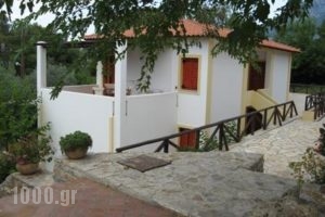 Hotel Heleni Apartments_best deals_Apartment_Peloponesse_Argolida_Archea (Palea) Epidavros