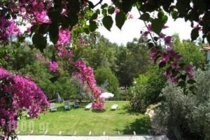 Hotel Heleni Apartments_lowest prices_in_Apartment_Peloponesse_Argolida_Archea (Palea) Epidavros