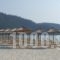 Alexandra Golden Boutique Hotel-Adults Only_lowest prices_in_Hotel_Aegean Islands_Thasos_Thasos Chora