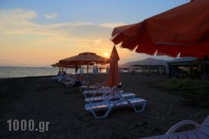 Akrogiali_holidays_in_Apartment_Central Greece_Evia_Amaranthos