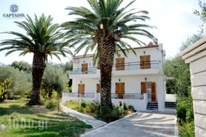 Captain's Studios & Apartments_accommodation_in_Apartment_Ionian Islands_Corfu_Kavos