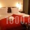 Zagori Philoxenia Hotel_best deals_Hotel_Epirus_Ioannina_Papiggo