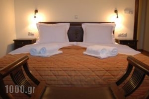 Zagori Philoxenia Hotel_best prices_in_Hotel_Epirus_Ioannina_Papiggo