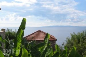 Katafigio Holiday Homes_holidays_in_Hotel_Thessaly_Magnesia_Lafkos