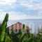 Katafigio Holiday Homes_holidays_in_Hotel_Thessaly_Magnesia_Lafkos