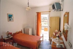 Galaxy Pension_holidays_in_Hotel_Cyclades Islands_Amorgos_Aegiali