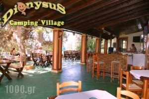 Dionysus Camping Village_best deals_Room_Ionian Islands_Corfu_Corfu Rest Areas