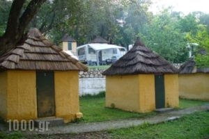 Dionysus Camping Village_best prices_in_Room_Ionian Islands_Corfu_Corfu Rest Areas