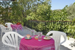 Aldebaran_accommodation_in_Hotel_Aegean Islands_Thasos_Potos