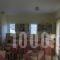 Elafonisos Diamond Resort_best deals_Hotel_Peloponesse_Lakonia_Elafonisos