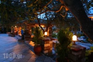 Pontios_lowest prices_in_Hotel_Aegean Islands_Thasos_Chrysi Ammoudia