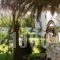 Baha-Ammes_accommodation_in_Hotel_Ionian Islands_Kefalonia_Kefalonia'st Areas