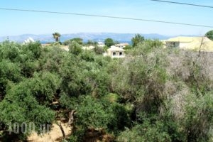 Isabella_lowest prices_in_Apartment_Ionian Islands_Corfu_Kavos