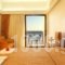 Hotel Vriniotis_accommodation_in_Hotel_Peloponesse_Ilia_Pyrgos