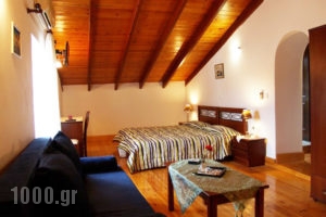 Lily's Apartments_lowest prices_in_Apartment_Ionian Islands_Paxi_Gaios