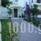 Evgenia Apartments_best prices_in_Apartment_Sporades Islands_Skiathos_Skiathos Chora