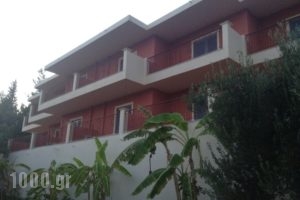 Anna Studios_accommodation_in_Apartment_Ionian Islands_Kefalonia_Lourdata