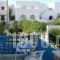 Aegeon Pension_accommodation_in_Hotel_Cyclades Islands_Paros_Parasporos