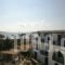 Evangelia_best prices_in_Apartment_Cyclades Islands_Paros_Alyki