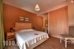 Susie Studios in Metsovo, Ioannina, Epirus
