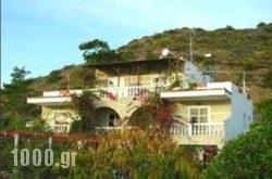 Irene Apartments in Karpathos Chora, Karpathos, Dodekanessos Islands