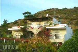 Irene Apartments_accommodation_in_Apartment_Dodekanessos Islands_Karpathos_Karpathos Chora