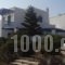 Galanos Studios_accommodation_in_Hotel_Cyclades Islands_Naxos_Agia Anna