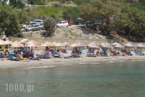 Alpha Studios_best prices_in_Hotel_Dodekanessos Islands_Karpathos_Karpathos Chora