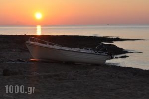 Corali Beach_holidays_in_Hotel_Crete_Rethymnon_Rethymnon City