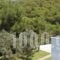 Vassilis Studios_best deals_Hotel_Piraeus islands - Trizonia_Trizonia_Trizonia Rest Areas